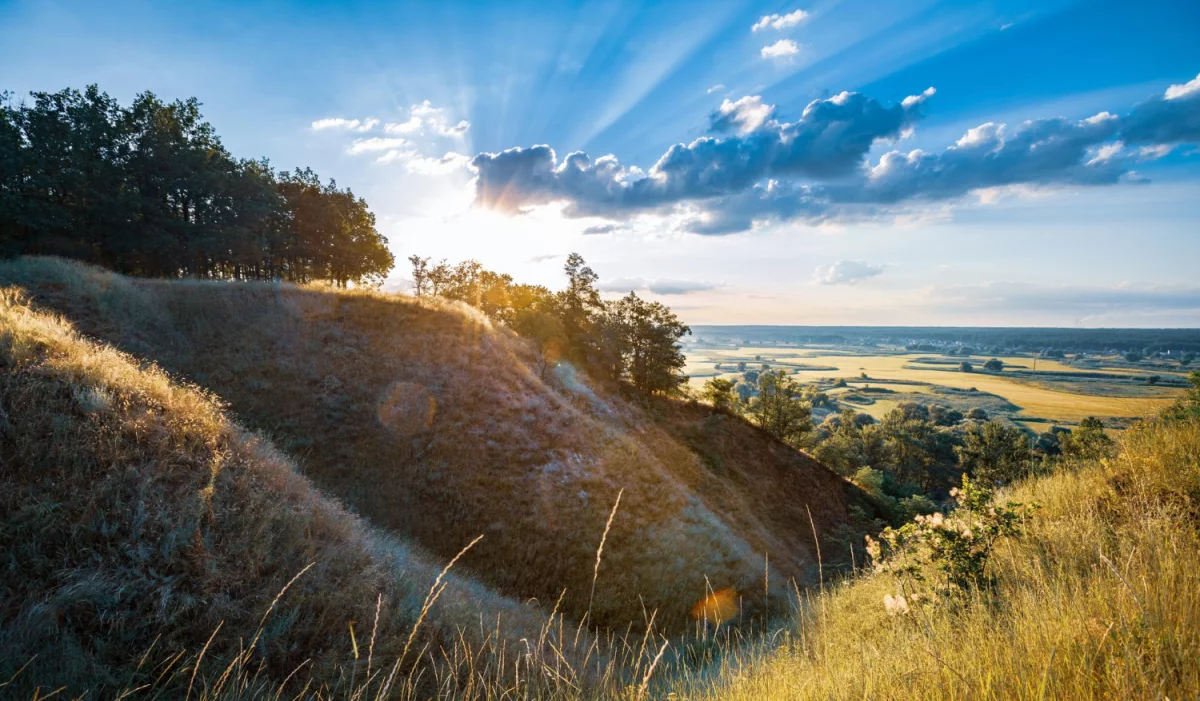 Czy można naprawić elektronikę w nocy?