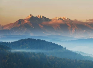 Du trenger ikke være ekspert for å kjøpe kontormøbler. Alt du trenger å gjøre er å følge disse 8 reglene.