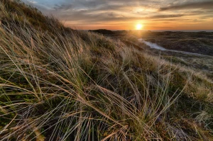 kupić programy szybciej?